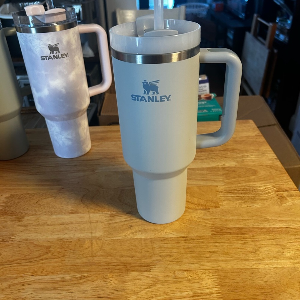 Stanley Tumbler in Fog